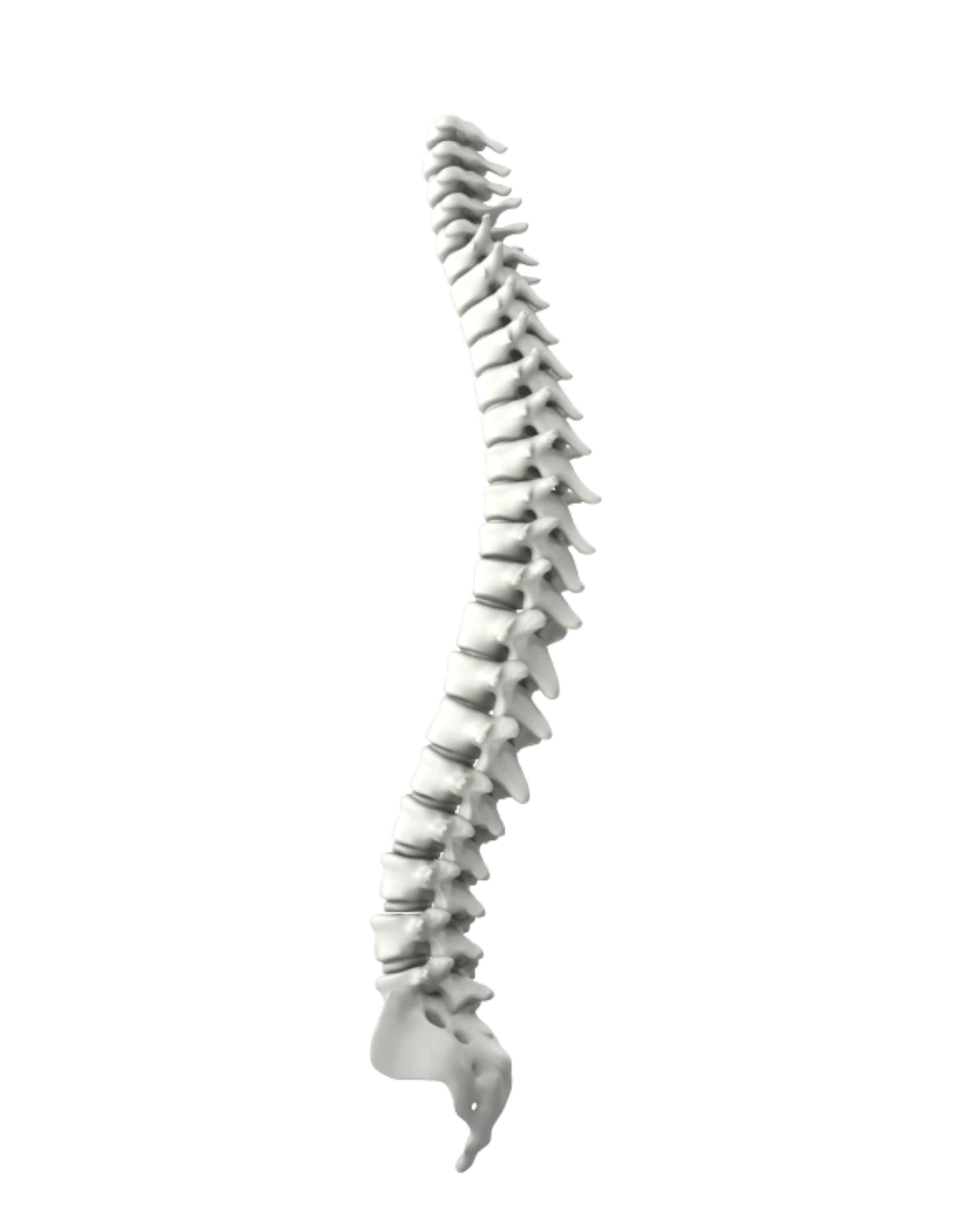 Kičmeni stub – rehabilitacija i fizioterapija